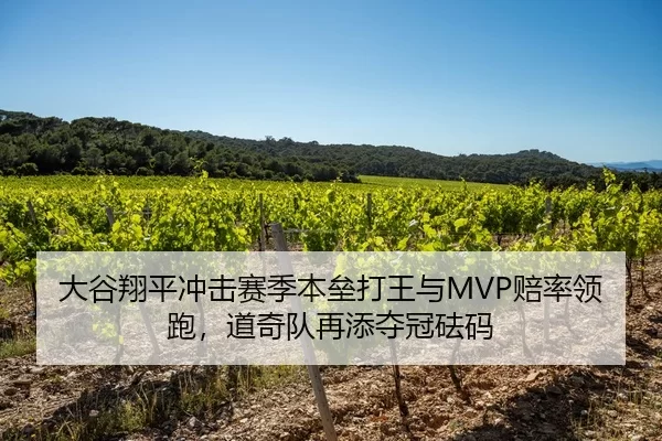 大谷翔平冲击赛季本垒打王与MVP赔率领跑，道奇队再添夺冠砝码