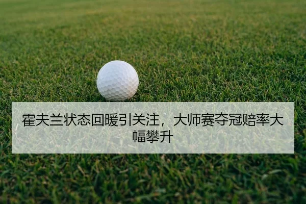 huo-fu-lan-zhuang-tai-hui-nuan-yin-guan-zhu-da-shi-sai-duo-guan-pei-lv-da-fu-pan-sheng-2-938.jpg